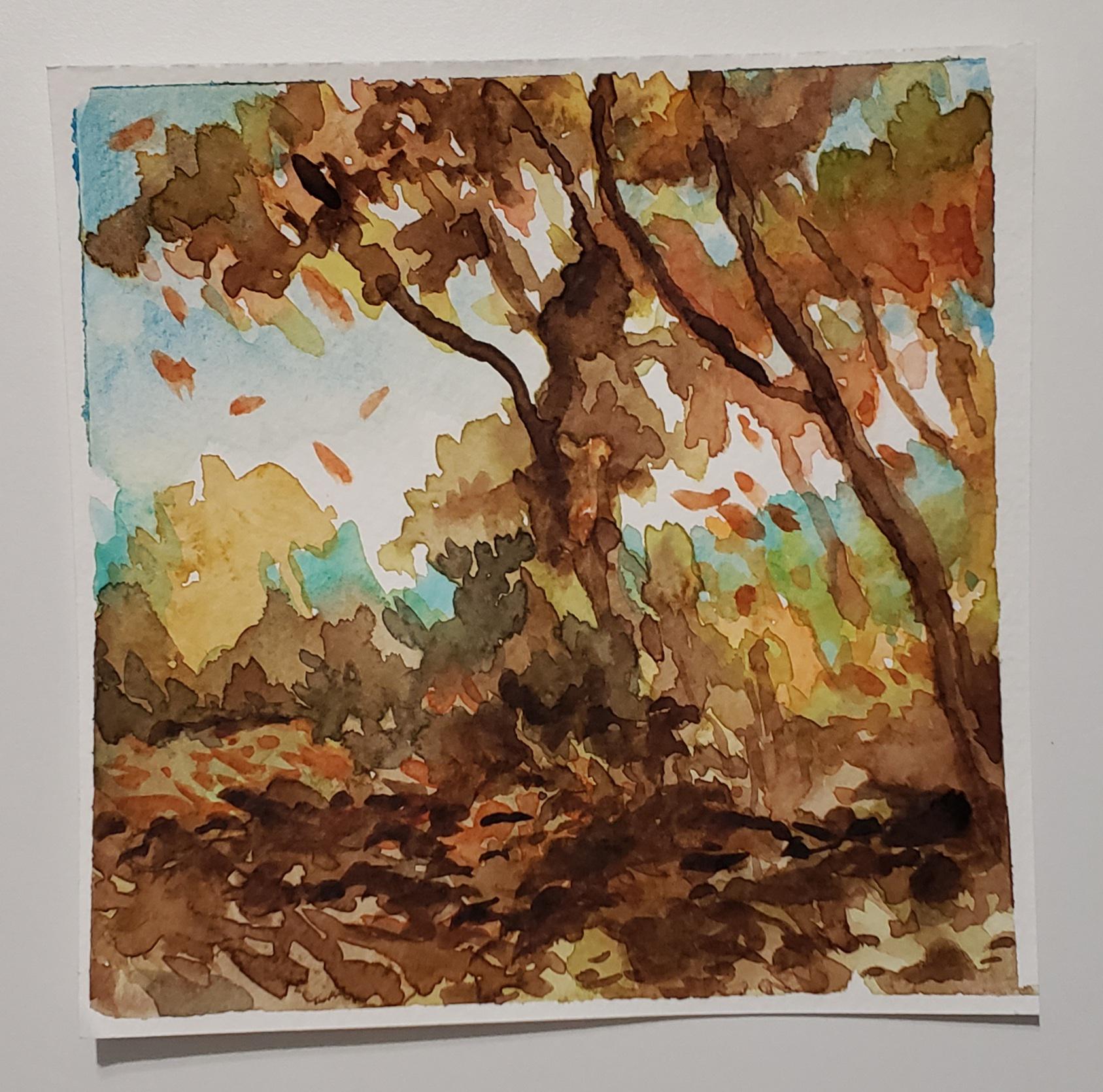 F. NERI 水彩画 Grazia della Folla