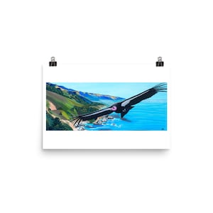 Flight of the Condor Art Print