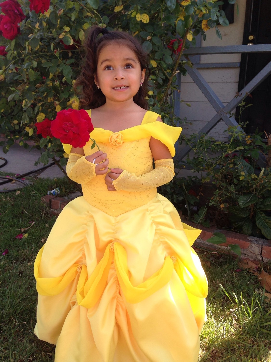 Belle Inspired Dress the Beauty and the Beast - Etsy
