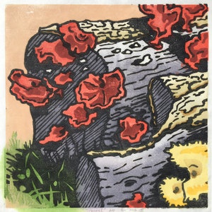 May include: A woodblock print of a log with red and yellow fungi growing on it. The print is titled "Fungal" AP and signed by the artist.