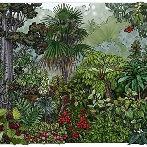 HAWAIIAN RAINFOREST PLANTS – colorful giclée print 12&quot;x18&quot; by Hawaii artist Eve Furchgott. Ships free in U.S.A.