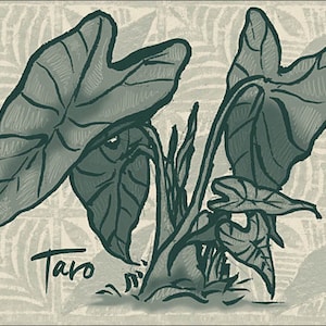 Taro card set
