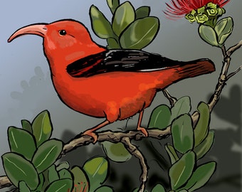 Hawaiian I'iwi Bird print - Hand + Digital limited edition