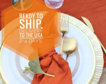 Dispatches from USA /Set 10 pcs RUST cotton napkins with raw edges / Ready to ship / Delivery to the USA 2-4 days