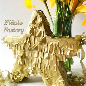 Star piñata mini