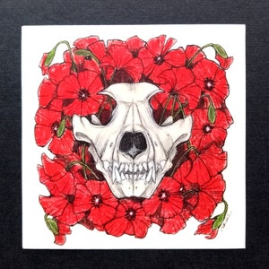 May include: A white animal skull with a detailed drawing of teeth is surrounded by a wreath of red poppies.