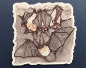 Magnet. Northern Long Eared Bat magnet. Roughly 3x3 inches. Flat magnet. Bat art. Long eared Bat. Art from children's book illustration. Bat