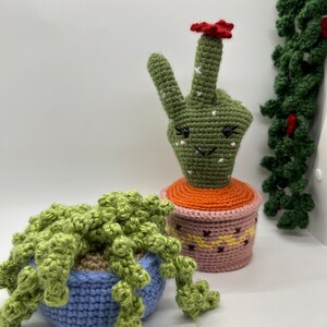 Crochet Cactus, Amigurumi Cactus, Smiling Cactus, Crochet Plant, Crochet Succulent, Desktop Plant, Crocheted Cactus, Home Decor, Plant Decor