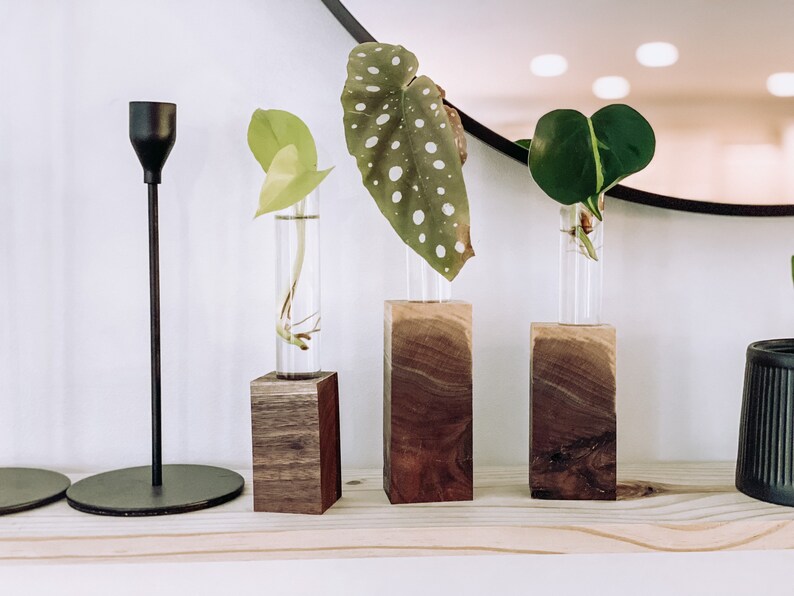 The MK / Live Edge Cedar/ Black Walnut Propagation Stand / Test Tube Vase / Wedding / Wooden Planter / Bud Vase / Gifts for Plant Lovers image 7