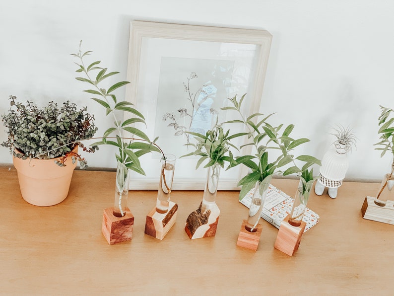 Cedar Propagation Stands Set of 3 / Bud Vases / Test Tube Holder / Glass Planter / Tube Planter / Gifts for Plant Lovers / Plant Birthday image 4