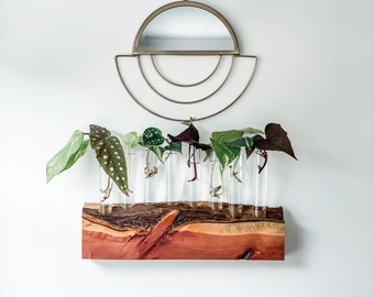 The Sharpe Station / Christmas Gift / Plant Lovers / Top Live Edge Cedar Hanging Propagation Station / Hydroponic Tube Vase / Planter