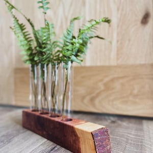 The MK / Live Edge Cedar/ Black Walnut Propagation Stand / Test Tube Vase / Wedding / Wooden Planter / Bud Vase / Gifts for Plant Lovers image 2