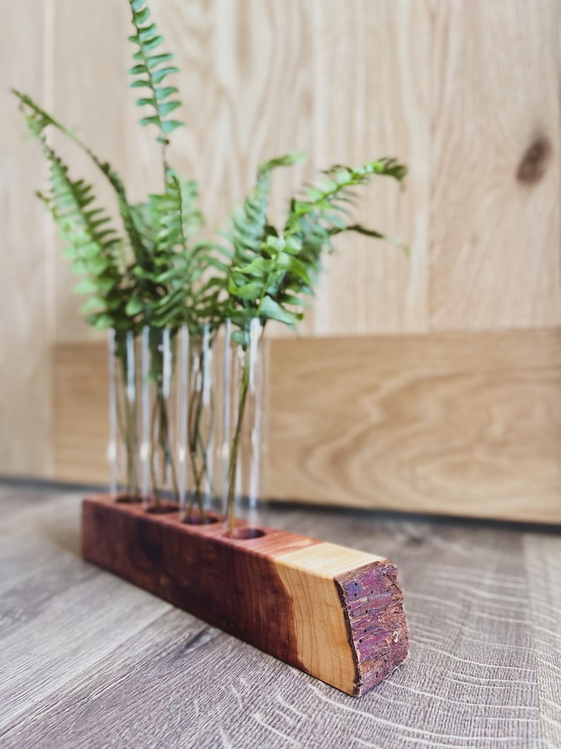 The MK / Live Edge Cedar/ Black Walnut Propagation Stand / Test Tube Vase / Wedding / Wooden Planter / Bud Vase / Gifts for Plant Lovers image 2