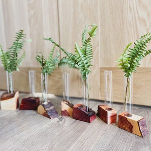 The MK / Live Edge Cedar/ Black Walnut Propagation Stand / Test Tube Vase / Wedding / Wooden Planter / Bud Vase / Gifts for Plant Lovers image 3