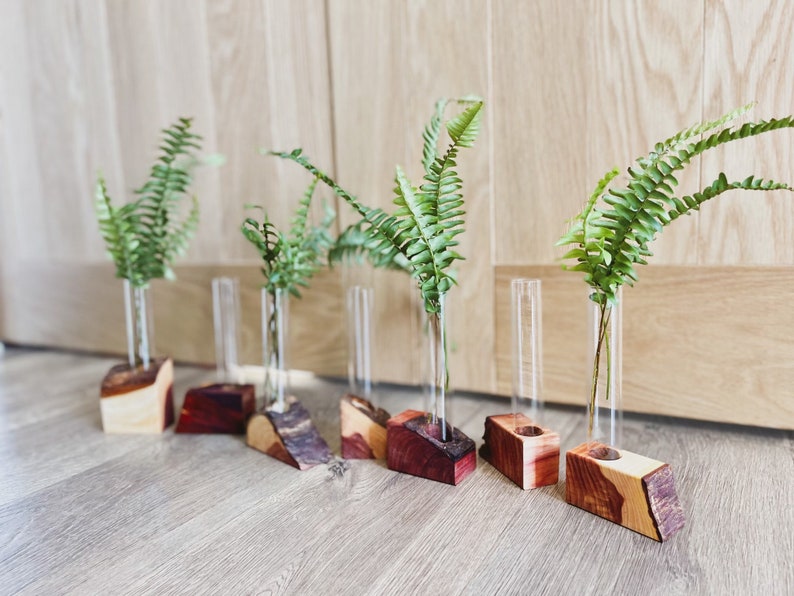 The MK / Live Edge Cedar/ Black Walnut Propagation Stand / Test Tube Vase / Wedding / Wooden Planter / Bud Vase / Gifts for Plant Lovers image 3