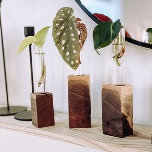 The MK / Live Edge Cedar/ Black Walnut Propagation Stand / Test Tube Vase / Wedding / Wooden Planter / Bud Vase / Gifts for Plant Lovers image 9