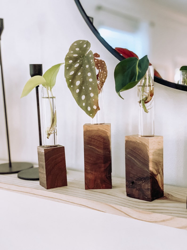 The MK / Live Edge Cedar/ Black Walnut Propagation Stand / Test Tube Vase / Wedding / Wooden Planter / Bud Vase / Gifts for Plant Lovers image 9