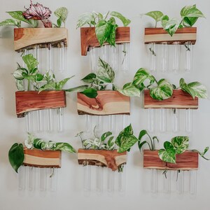 Plant Propagation Wall / Hydroponic Plant Wall / Plantscape / Test Tube Holder / Plant Stand / Set of Propagation Stations / Plant Gift