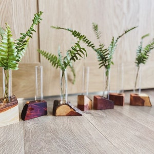 The MK / Live Edge Cedar/ Black Walnut Propagation Stand / Test Tube Vase / Wedding / Wooden Planter / Bud Vase / Gifts for Plant Lovers image 4