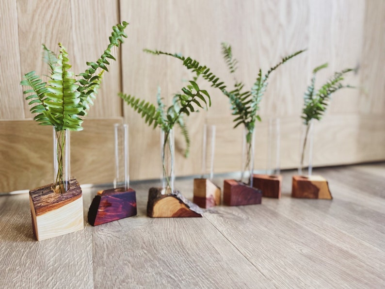 The MK / Live Edge Cedar/ Black Walnut Propagation Stand / Test Tube Vase / Wedding / Wooden Planter / Bud Vase / Gifts for Plant Lovers image 4