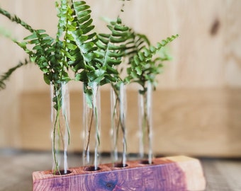 The MK / Live Edge Cedar/ Black Walnut Propagation Stand / Test Tube Vase / Wedding / Wooden Planter / Bud Vase / Gifts for Plant Lovers