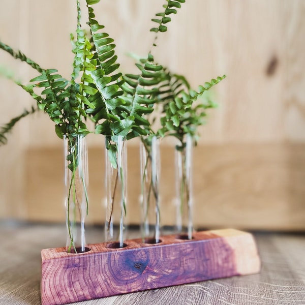 The MK / Live Edge Cedar/ Black Walnut Propagation Stand / Test Tube Vase / Wedding / Wooden Planter / Bud Vase / Gifts for Plant Lovers