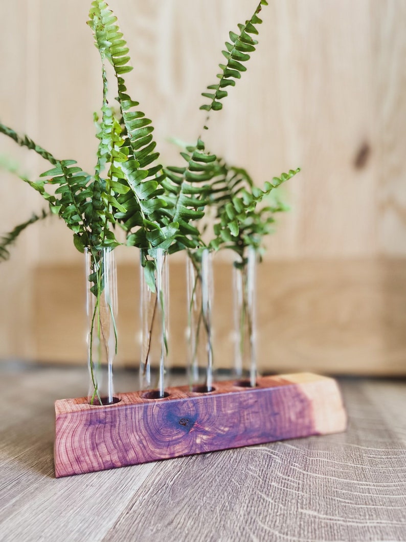 The MK / Live Edge Cedar/ Black Walnut Propagation Stand / Test Tube Vase / Wedding / Wooden Planter / Bud Vase / Gifts for Plant Lovers image 1