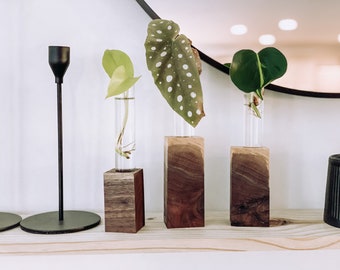 Black Walnut Propagation Set of 3 / Hydroponic Rooting Vases / Test Tube Holders / Glass Plant Holders / Tube Propagation Vases / Plants