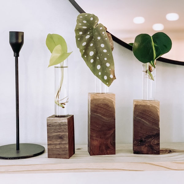 Test Tube Holder Etsy