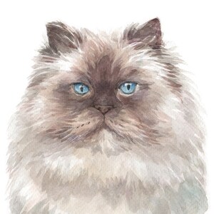 Pode incluir: Uma pintura em aquarela de um gato branco e marrom felpudo com olhos azuis. O gato está olhando diretamente para o espectador com uma expressão séria.