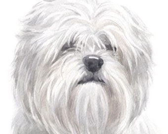 Lhasa Apso Fabric Panel Fabric Cushion Craft Quilting Panel