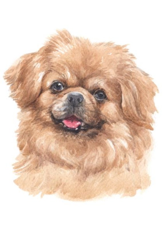 Watercolour Tibetan Spaniel Dog Breed Panel Printed Fabric Natural  Panama Quilting Cotton
