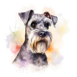 Op de afbeelding: Waterverfportret van een Schnauzer hond. De hond heeft een grijze vacht, een lange, lichtgekleurde baard en donkere ogen. De achtergrond bevat kleurrijke aquarelspatten in tinten geel, oranje en paars.