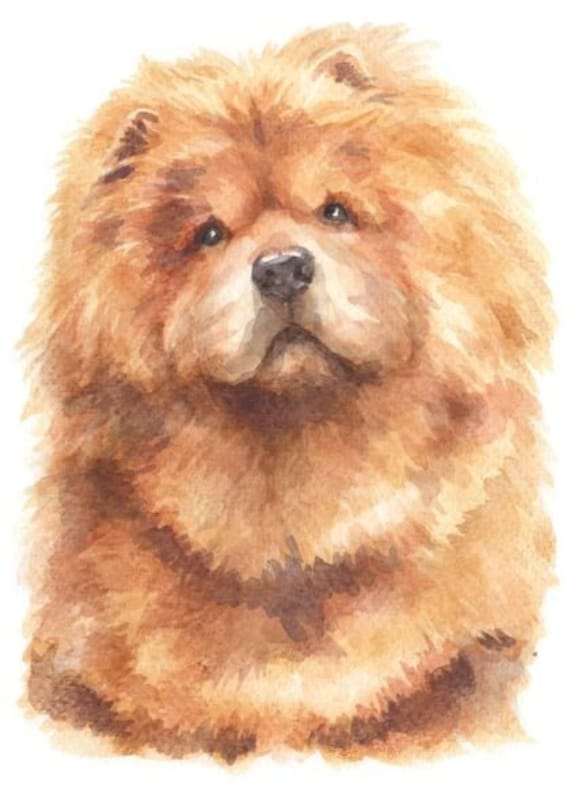 Watercolour Chow Chow Dog Breed Panel Printed Fabric - Etsy