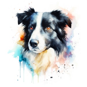 May include: Watercolor painting of a black and white border collie dog with orange eyes. The dog is looking directly at the viewer. The background is a soft watercolor wash of blue, pink, and orange.
