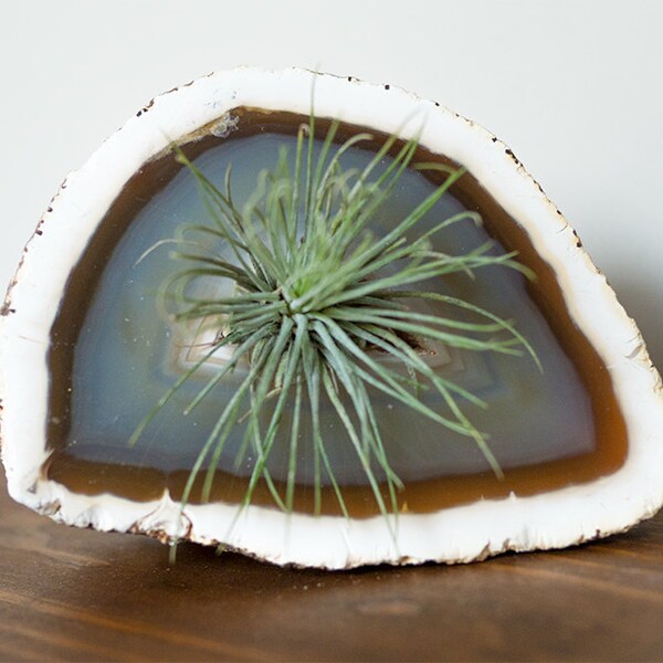 Achat Geode roh Crystal Air Pflanzer - heilende Kristalle und Steine - Cristall Dekor