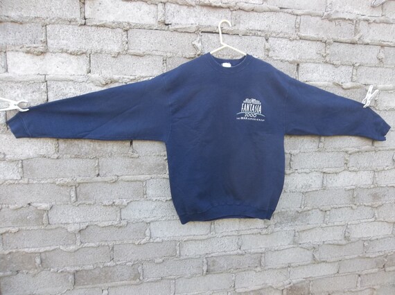 fantasia sweatshirt