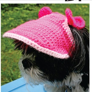 PATTERN for a Crocheted Small Dogs Visor/Hat - PDF File.