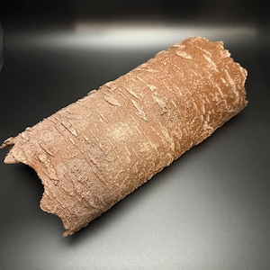 Peut inclure: Un rondin décoratif brun, cylindrique, avec une surface texturée semblable à de l'écorce. Le rondin a une section évidée à une extrémité, révélant l'intérieur. La couleur est un brun chaud et terreux avec des reflets plus clairs.