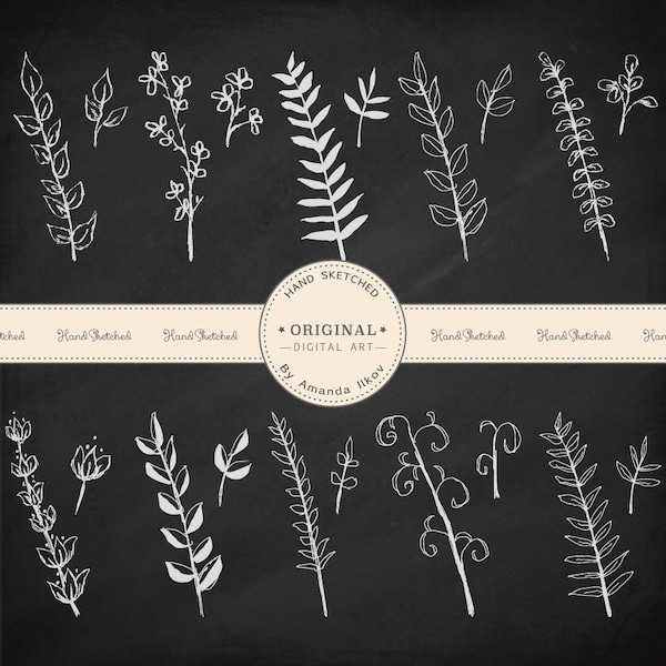 Premium Chalkboard Branches and Sprigs - Branch Clipart, Sprig Clipart, Leaf Clipart, Plant Clipart, Chalkboard Clipart, Chalkoa
