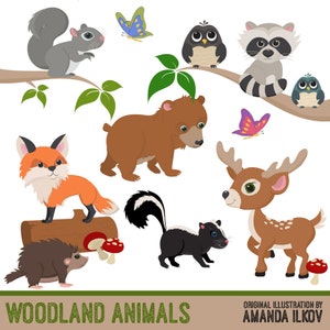 Premium Woodland Animal Clip Art, Woodland Animal Vectors - Woodland Vectors, Woodland Clipart, Forest Animals, Forest Animal Clipart