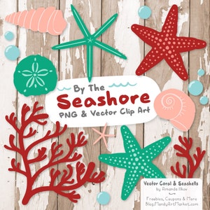 Premium Vector Seashells Clipart in Cherry Bomb - Bright Seashells, Starfish Clipart, Seashells Clip Art, Seashell Vectors, Coral Clipart
