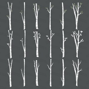 May include: A set of 18 white birch tree illustrations with green leaves, drawn on a black background. The trees are various heights and have different branch patterns.