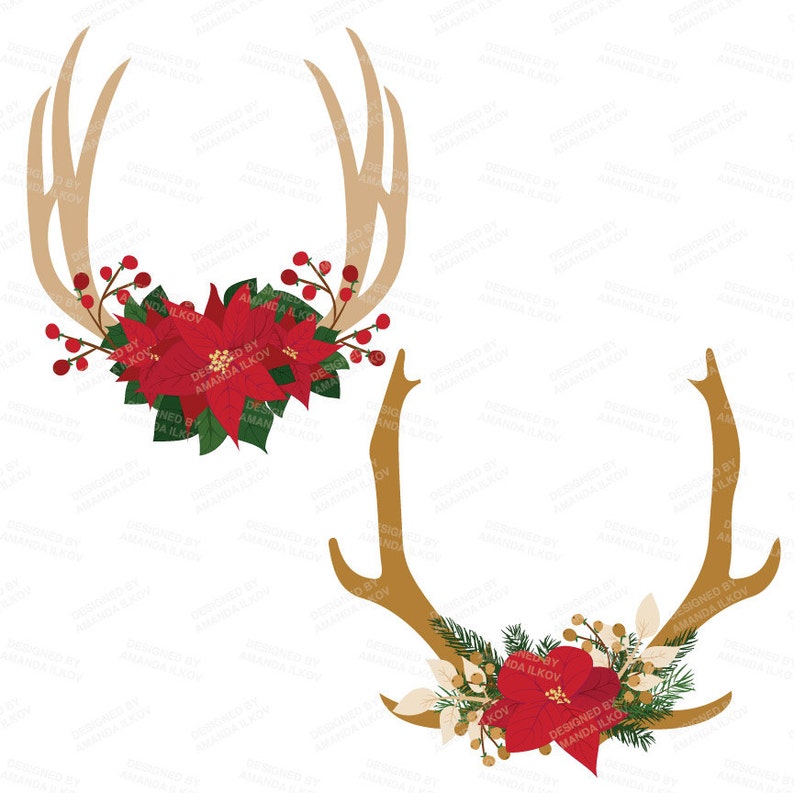 K&ouml;nnte beinhalten: Zwei S&auml;tze goldener Hirschgeweihe mit roten Weihnachtssternen und gr&uuml;nem Blattwerk. Die Geweihe sind eine beliebte Weihnachtsdekoration.