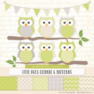 Patterned Bamboo Owls Clipart and Digital Papers - Green Owl Clipart, Owl Vectors, Baby Owls, Cute Owls