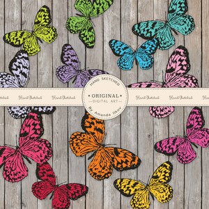 Professional Hand Sketched Butterfly Clipart - Butterfly Clip Art, Hand Drawn Butterflies, Butterfly Vector, Butterflies, Bright Butterflies
