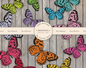 Professional Hand Sketched Butterfly Clipart - Butterfly Clip Art, Hand Drawn Butterflies, Butterfly Vector, Butterflies, Bright Butterflies
