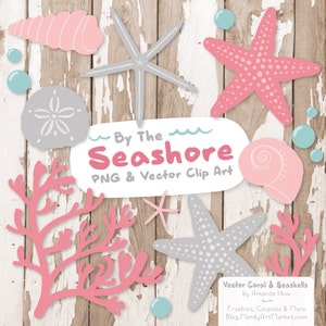 Premium Vector Seashells Clipart in Pink & Grey - Pink Seashells, Starfish Clipart, Seashells Clip Art, Seashell Vectors, Coral Clipart