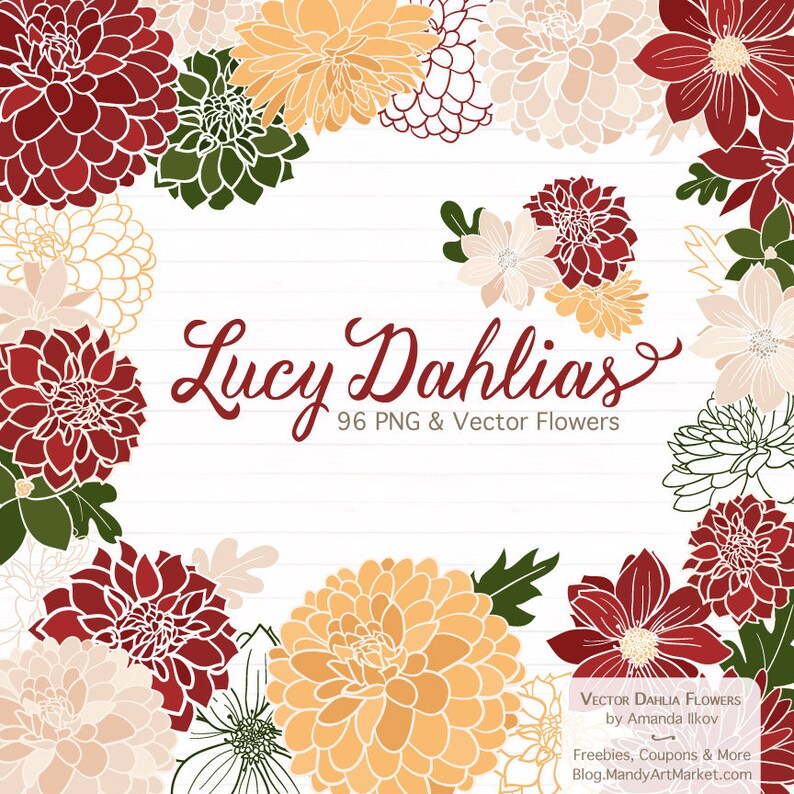 K&ouml;nnte beinhalten: Eine digitale Illustration von 96 roten, wei&szlig;en und gelben Dahlienbl&uuml;ten. Die Blumen sind in einem Kreis um den Text "Lucy Dahlias 96 PNG & Vector Flowers" angeordnet.