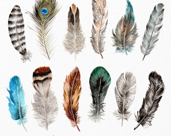 Watercolor Feathers Clipart - Watercolour Feathers, Hand Painted Feathers, Feather Clipart, Clipart Feathers, Tribal Clipart